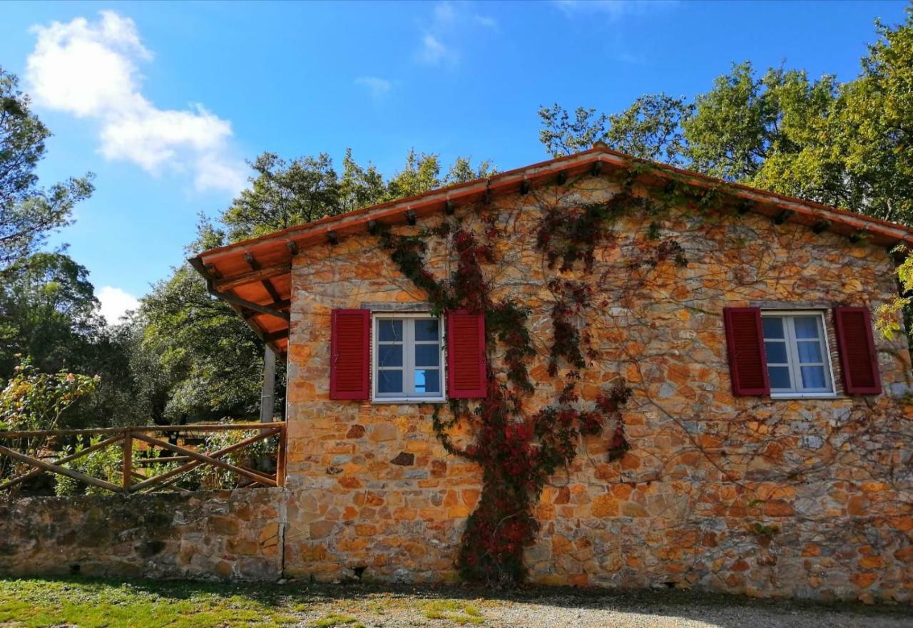 Il Daino Bianco Country Hotel Manciano Exterior photo