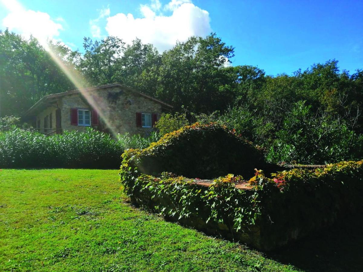 Il Daino Bianco Country Hotel Manciano Exterior photo